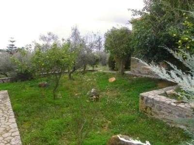 Maniatiko Village - 47