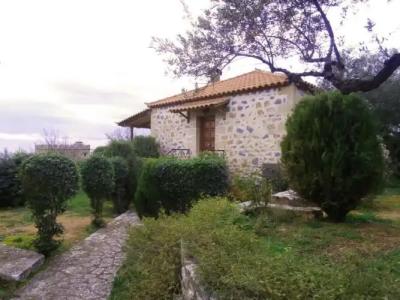 Maniatiko Village - 46