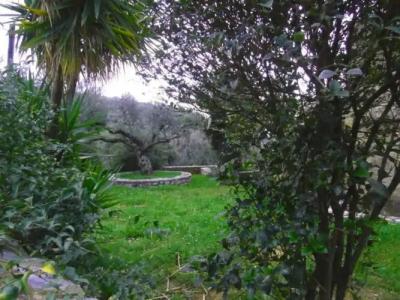 Maniatiko Village - 9