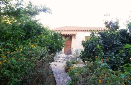 Maniatiko Village - 64