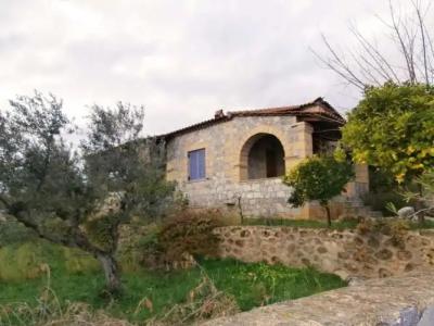 Maniatiko Village - 60