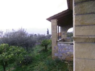 Maniatiko Village - 62