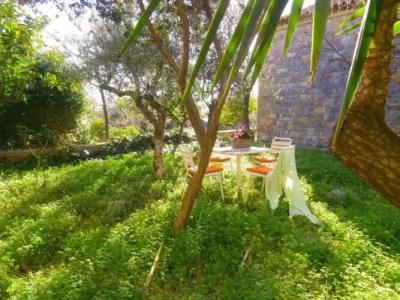 Maniatiko Village - 7