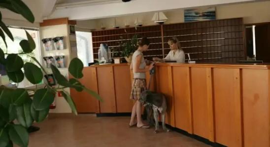 FKK Bunculuka Camping Resort by Valamar - 7