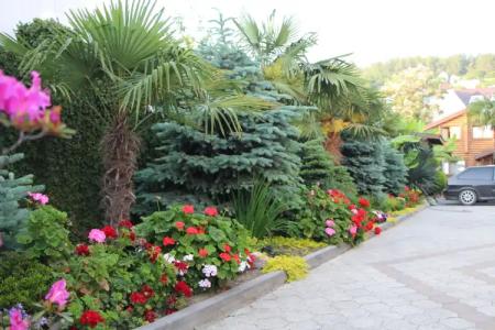 Черное Море - 7