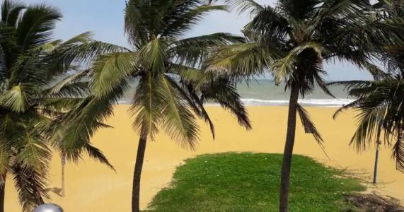 Oasis Beach Resort - 13