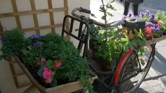 Chopin Boutique - 17