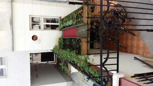 Chopin Boutique - 16