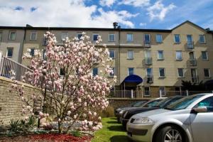 Warsaw Apartments Magnolie, Warsaw