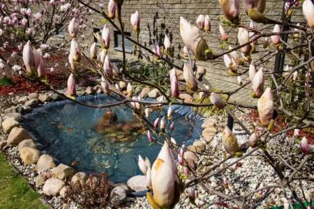 Warsaw Apartments Magnolie - 11