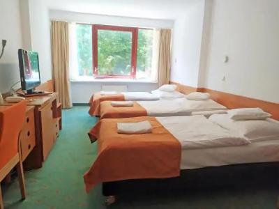 Interferie Sport Bornit - 39