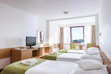 Interferie Sport Bornit - 40