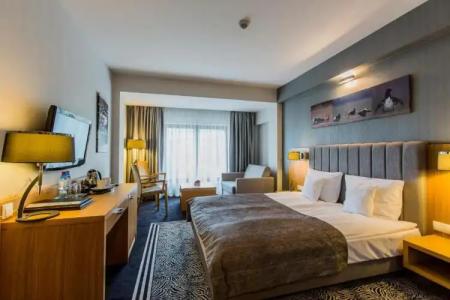 & Medi-SPA Bialy Kamien - 18