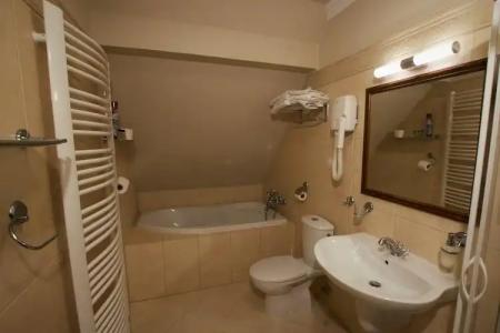 Sarmata Zespół Dworski - 7