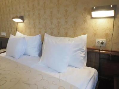 Sarmata Zespół Dworski - 43