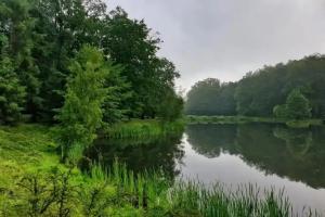 Stacja Nowa Gdynia, Lodz