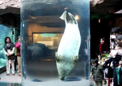 Morinoyu Hanakagura - 22