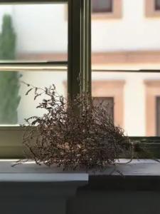 Elia by Ortunc (+8) - 66