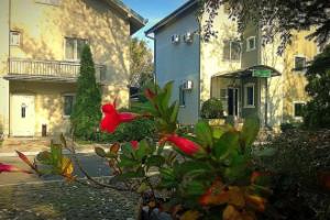 Villa Forest, Belgrade