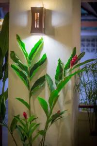 Mali Room - 32