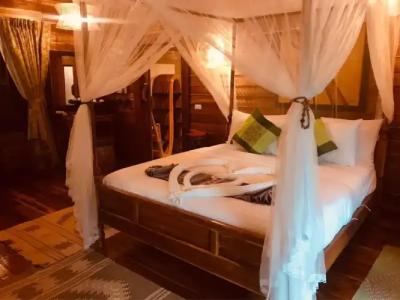 Viking Nature Resort - 166