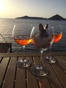 Art Suites Bodrum - 22