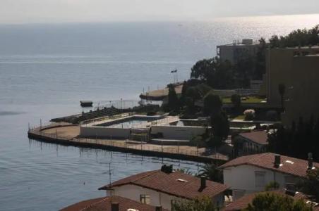 PARADISE ISLAND - 82