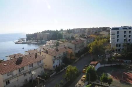 PARADISE ISLAND - 78