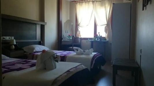 Wallabies Aquaduct - 2