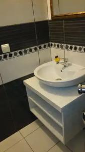 Wallabies Aquaduct - 42