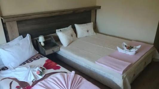 Wallabies Aquaduct - 24