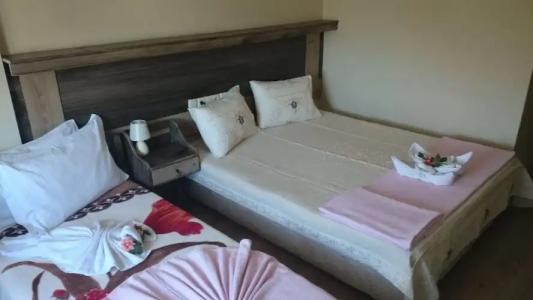 Wallabies Aquaduct - 52