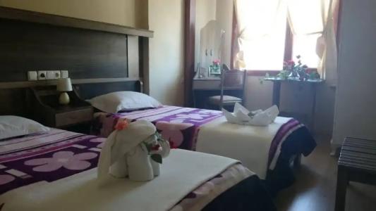 Wallabies Aquaduct - 16