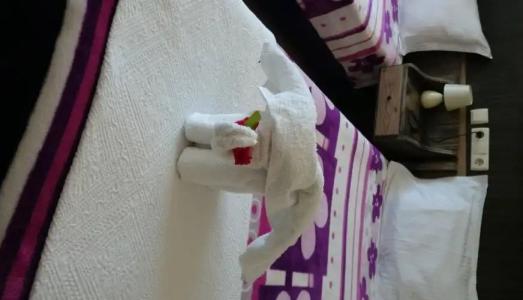 Wallabies Aquaduct - 1