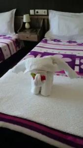 Wallabies Aquaduct - 48