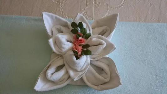 Wallabies Aquaduct - 14