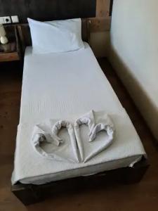 Wallabies Aquaduct - 34