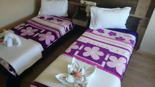 Wallabies Aquaduct - 25