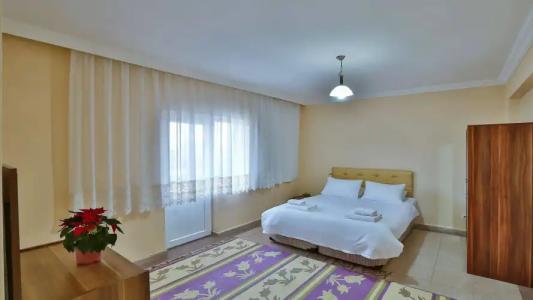 Afyon Dundar Thermal Villa - 3