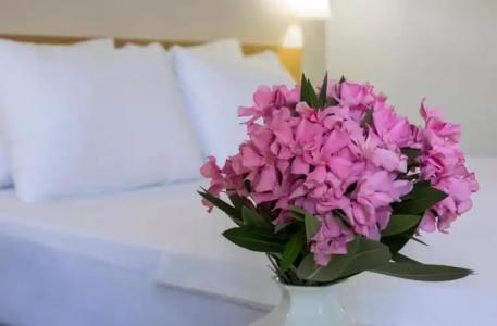 Lycus River Thermal - 81