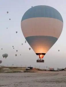 Shah Sultan Ozturk - 14