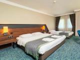 Large Standard room