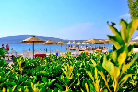 Oscar Seaside & Spa - 15