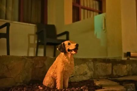 Oscar Seaside & Spa - 17