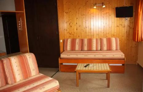 Apartamentos Pie de Pistas MIKKA 3000 - 14