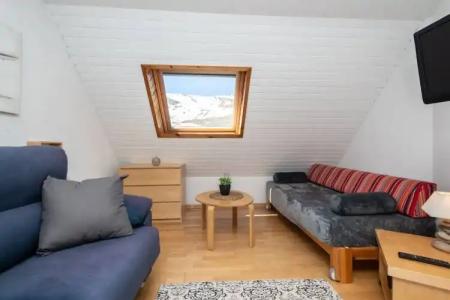 Apartamentos Pie de Pistas MIKKA 3000 - 17