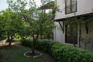 Mr. Dim Exclusive Apart Hotel, Goecek