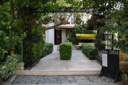 Mr. Dim Exclusive Apart - 116