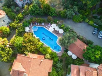 Mr. Dim Exclusive Apart - 73