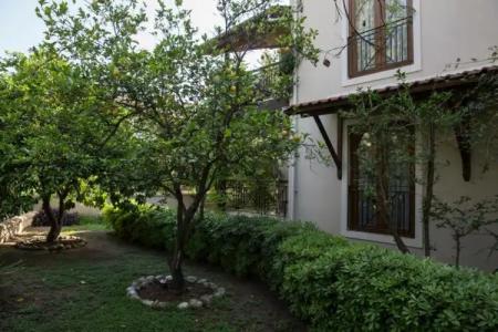 Mr. Dim Exclusive Apart - 0